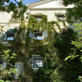Ein altes Gebäude, das von grünen Pflanzen umrankt ist. Die Fenster sind geöffnet und lassen Tageslicht herein. | © TVB Murau