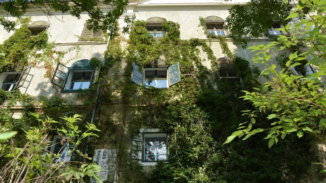 Ein altes Gebäude, das von grünen Pflanzen umrankt ist. Die Fenster sind geöffnet und lassen Tageslicht herein. | © TVB Murau