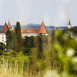 Ein beeindruckendes Schloss mit roten Dächern umgeben von grünen Wäldern. Im Hintergrund sind sanfte Hügel und ein klarer Himmel zu sehen. | © Manfred Donauer