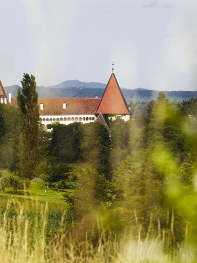 Ein beeindruckendes Schloss mit roten Dächern umgeben von grünen Wäldern. Im Hintergrund sind sanfte Hügel und ein klarer Himmel zu sehen. | © Manfred Donauer