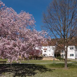 Hartberg castle park | © Bernhard Bergmann
