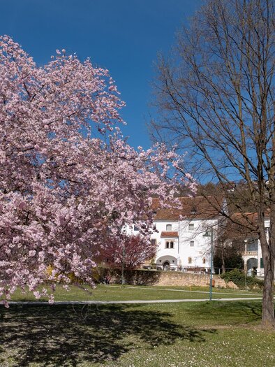 Hartberg castle park | © Bernhard Bergmann