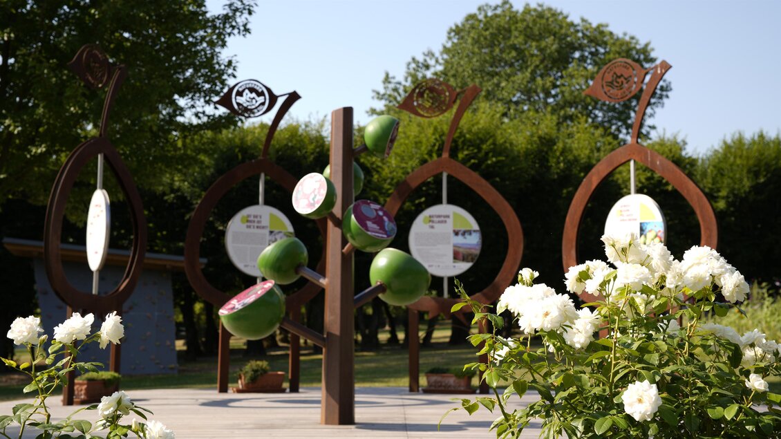 Skulpturen in einem Park mit bunten Elementen, umgeben von weißen Rosen. Die große, kreative Installation zieht die Aufmerksamkeit auf sich. | © Tourismusverband Oststeiermark
