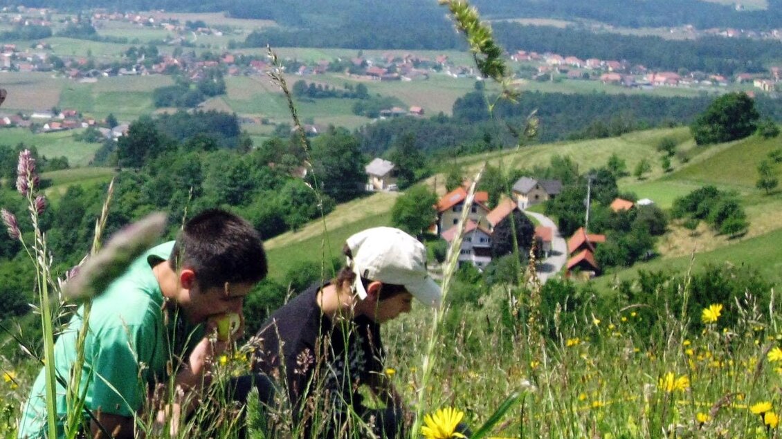 Schmetterlingswiese am Demmerkogel - Naturpark Juwel - Impressionen #2.2