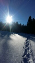 Snowshoerental_snowshoeprint_Eastern Styria | © Tourismusverband Oststeiermark