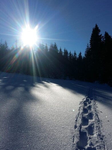 Schneeschuhverleih_Schneeschuhspur_Oststeiermark | © Tourismusverband Oststeiermark | © Tourismusverband Oststeiermark