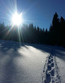 Snowshoerental_snowshoeprint_Eastern Styria | © Tourismusverband Oststeiermark | © Tourismusverband Oststeiermark