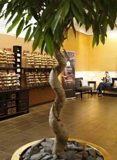 Felber chocolate_salesroom_Eastern Styria | Bernhard Bergmann | © Felber Schokoladen
