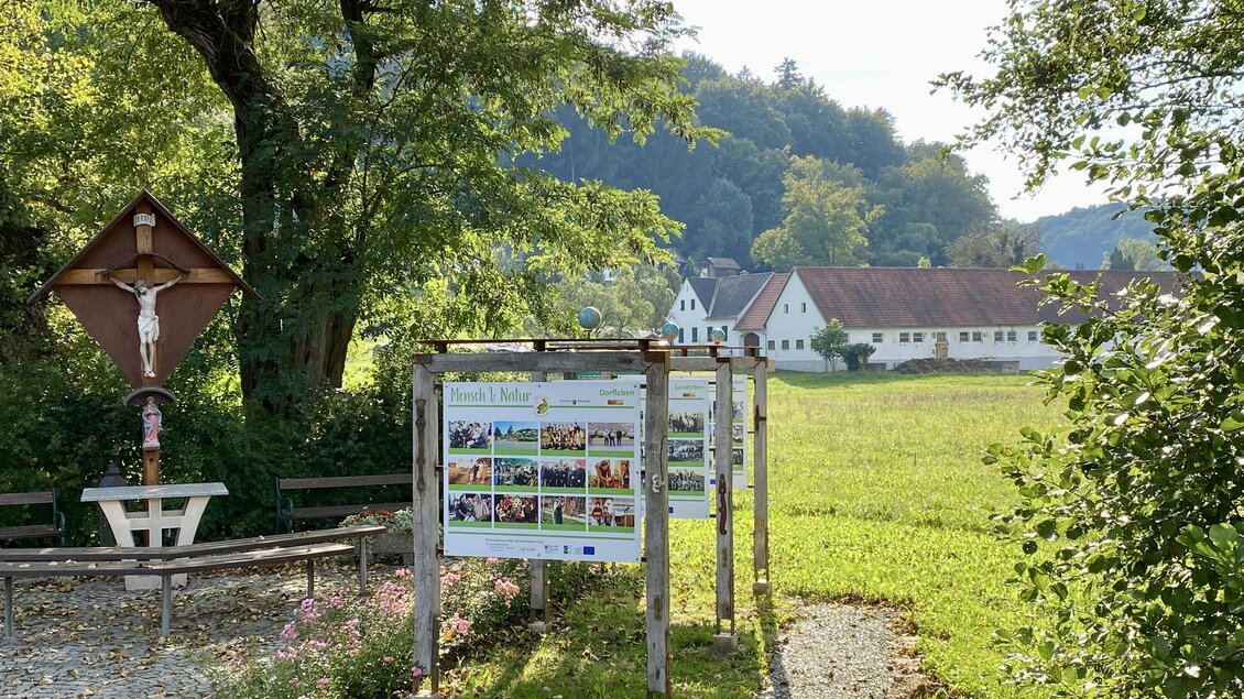 Schwarzpappel mit Schautafel | © Gemeinde Unterlamm