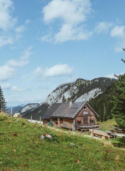Die Ochsenbodenalm | Franz-Peter Stadler | © www.mariazell.blog