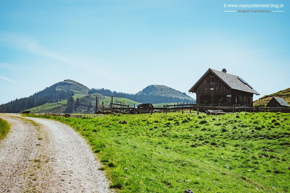 Sennhütte auf dem Dürriegl - Impression #1 | © www.mariazell.blog / Fred Lindmoser