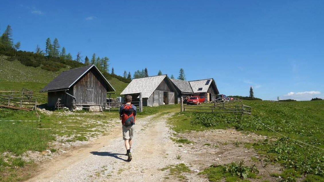 Ein Wanderer läuft auf einem Schotterweg zu mehreren rustikalen Hütten. Die Landschaft ist grün und sonnig, umgeben von Bäumen und blauem Himmel. | © www.mariazell.blog / Fred Lindmoser