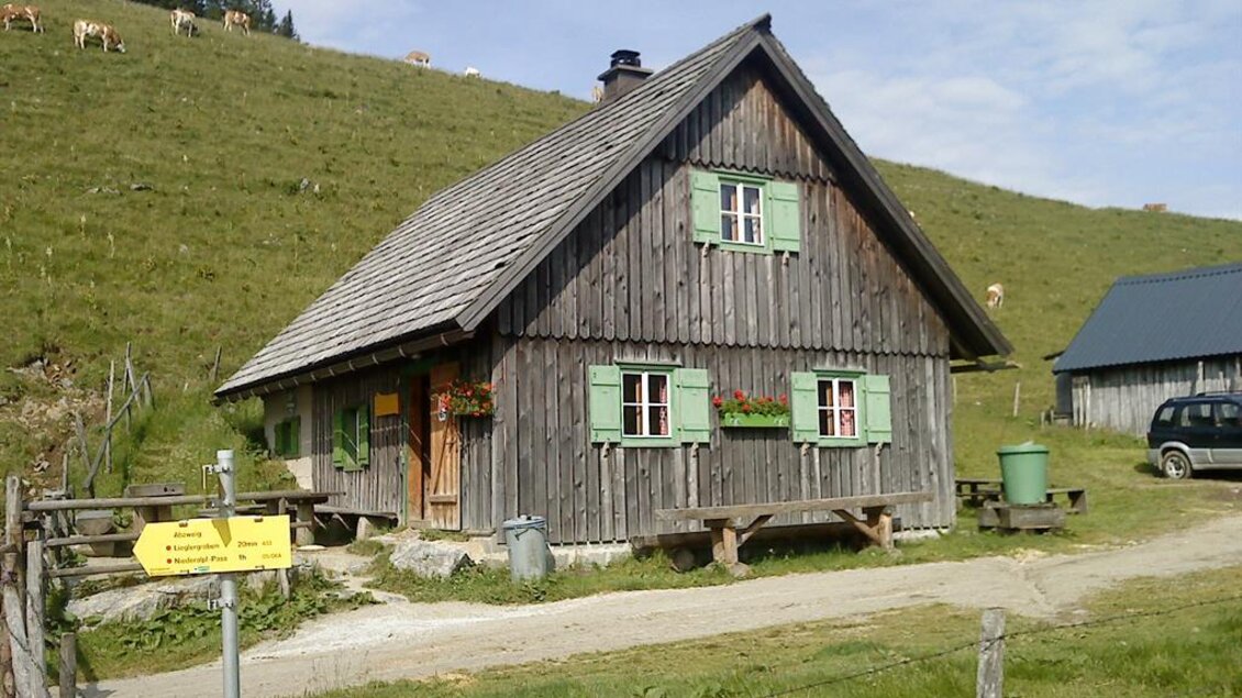 Eine rustikale Holzhütte mit grünen Fensterläden in einer ländlichen Umgebung. Im Hintergrund sind Wiesen und Kühe zu sehen. | © TV Hochsteiermark / Brigitte Digruber