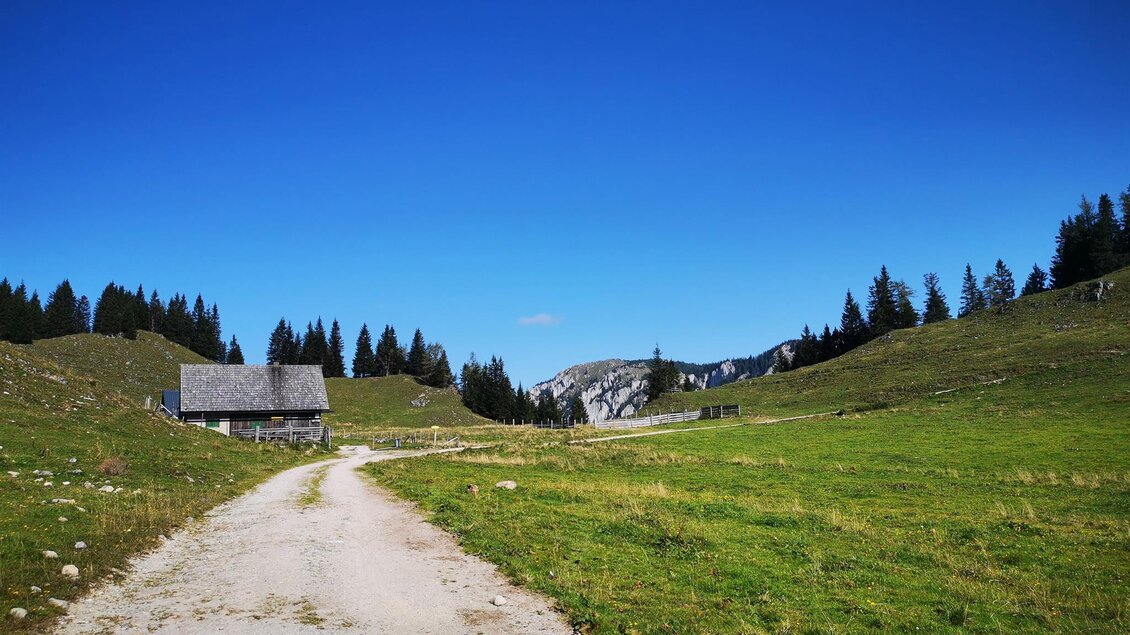 Eine malerische Landschaft mit einem Schotterweg, der zu einer kleinen Hütte führt. Im Hintergrund sind grüne Wiesen und bewaldete Berge zu sehen unter einem klaren blauen Himmel. | © TV Hochsteiermark / Brigitte Digruber