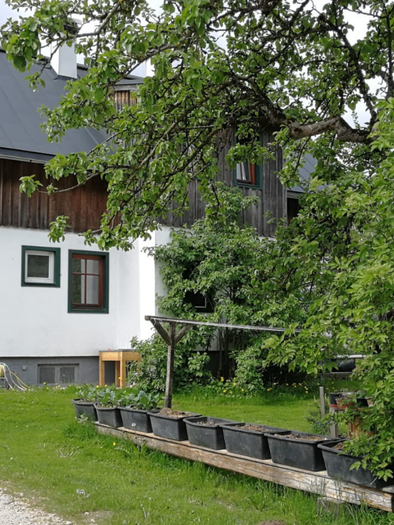 Simalhof | © Simalhof