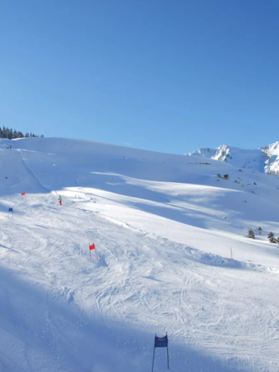 A snowy landscape with slopes and skiers. The sky is clear and blue, and the mountains are visible in the background. | © reisneralm