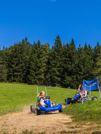 Two people are riding in blue slide cars on a green meadow. In the background, there are trees and a clear blue sky. | © Hans-Peter Steiner