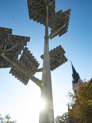 Solarbaum_Hauptplatz_Oststeiermark | © Stadtgemeinde Gleisdorf_Tourismusverband Oststeiermark