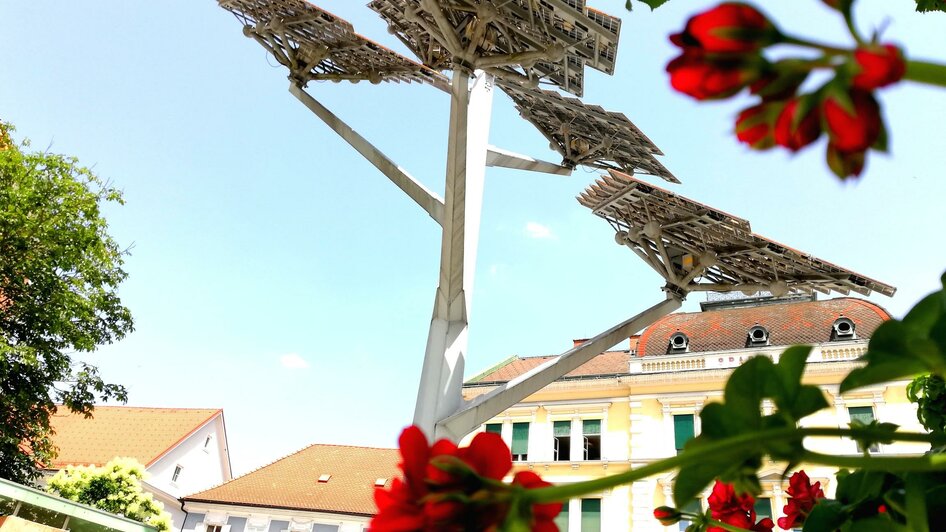 Solarbaum_durchBlume_Oststeiermark | © Stadtgemeinde Gleisdorf_Tourismusverband Oststeiermark