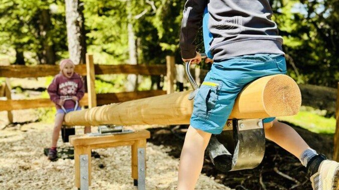 Zwei Kinder spielen im Freien auf einem Wippen-Gerät. Es ist sonnig und umgeben von Bäumen. | © Reiteralm