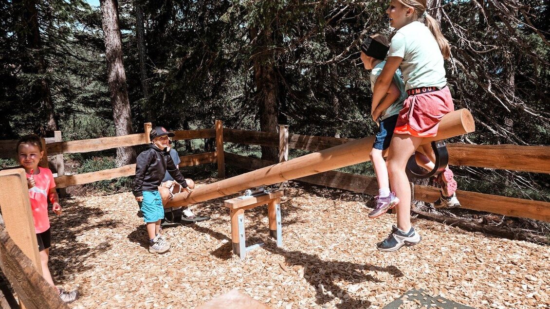 Kinder spielen auf einer Wippe in einem Waldspielplatz. Die Umgebung ist grün und einladend, mit Holzumpfäungen. | © Reiteralm
