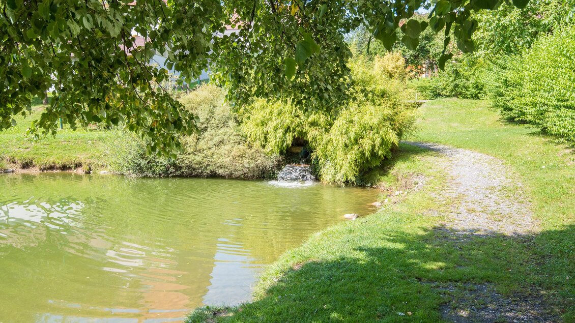 Ein ruhiger Teich umgeben von grünem Gras und Bäumen. Ein schmaler Weg führt am Wasser entlang. | © Helmut Schweighofer