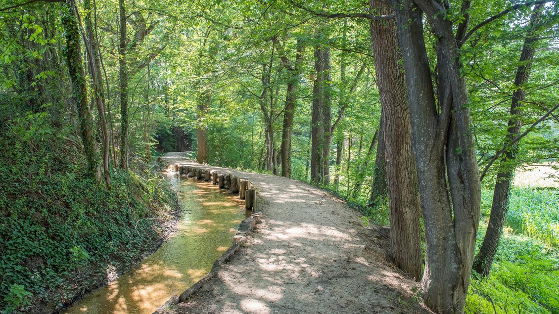 Ein malerischer Waldweg entlang eines kleinen Bachs. Die Umgebung ist grün und sonnig, umgeben von hohen Bäumen. | © Helmut Schweighofer