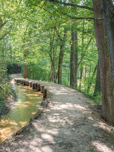Ein malerischer Waldweg entlang eines kleinen Bachs. Die Umgebung ist grün und sonnig, umgeben von hohen Bäumen. | © Helmut Schweighofer