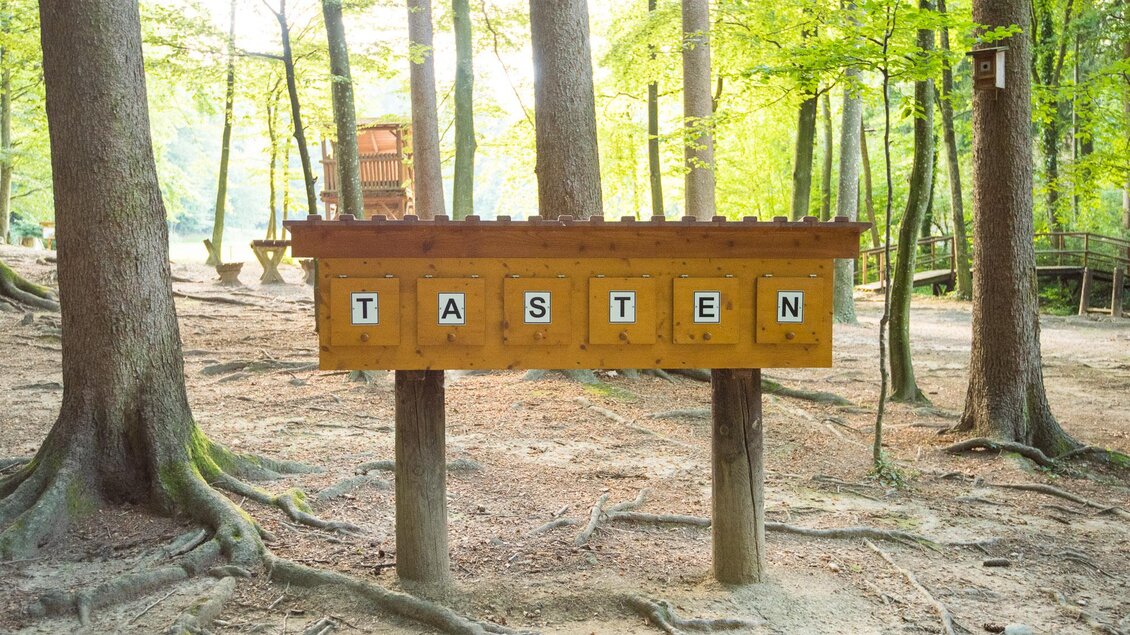 Ein Holzschild mit dem Wort "TASTEN" steht zwischen Bäumen. Der Hintergrund zeigt einen ruhigen Wald. | © Helmut Schweighofer
