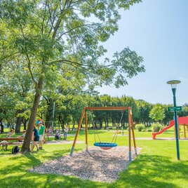 Ein schöner Spielplatz im Park mit einer Schaukel und einer Rutsche. Umgeben von Bäumen und viel grünem Gras, genießen Familien das sonnige Wetter. | © Helmut Schweighofer