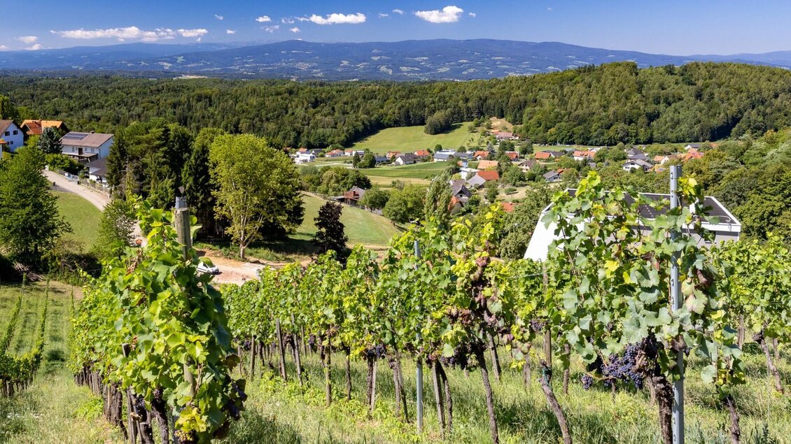 Weinberge am Buchkogel bei Graz | © Graz Tourismus-Harry Schiffer