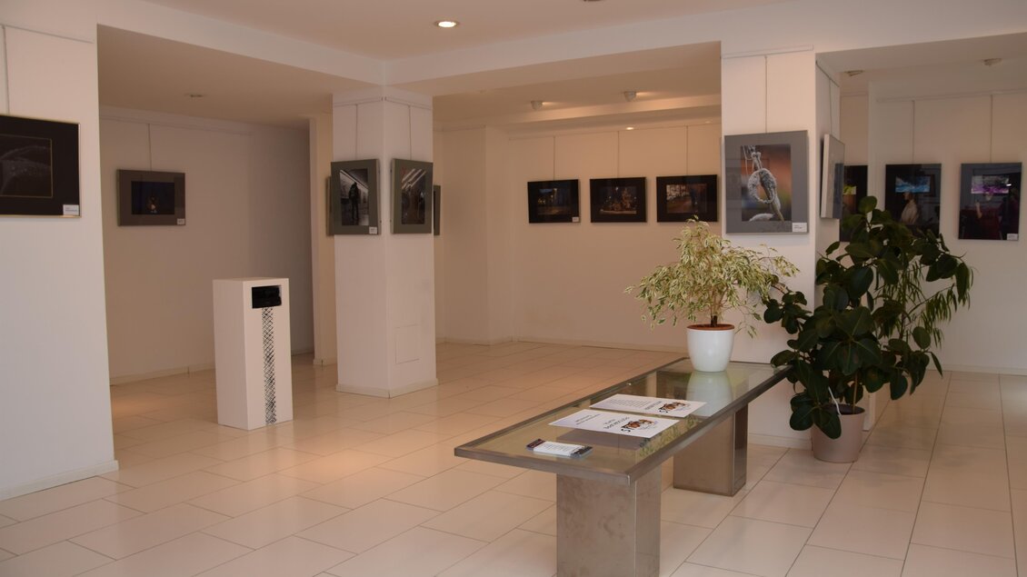 Ein modernes Ausstellungsraum mit weißen Wänden und eleganter Beleuchtung. An den Wänden hängen verschiedene Fotografien, und in der Mitte steht ein Tisch mit einem Pflanzenarrangement. | © Stadtgalerie Deutschlandsberg