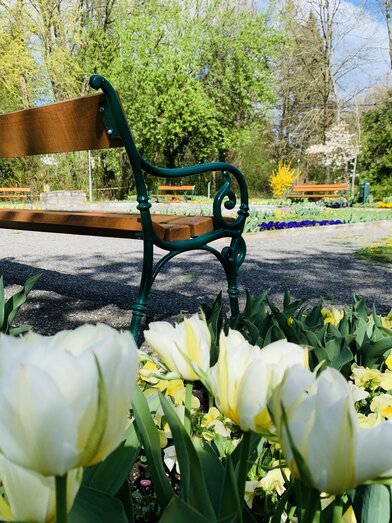 Stadtpark_Bank_Oststeiermark | © Stadtgemeinde Gleisdorf_Tourismusverband Oststeiermark