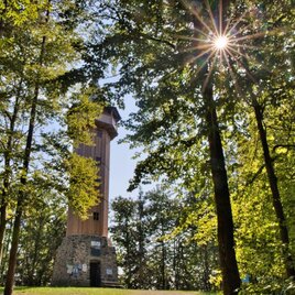 Ein Aussichtsturm umgeben von Bäumen im Wald. Die Sonne strahlt durch das Blätterdach und sorgt für ein angenehmes Licht. | © Weges