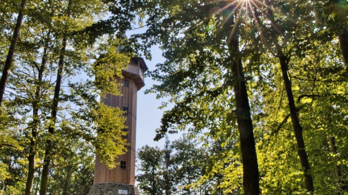 Ein Aussichtsturm umgeben von Bäumen im Wald. Die Sonne strahlt durch das Blätterdach und sorgt für ein angenehmes Licht. | © Weges