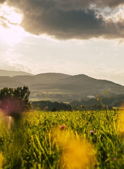 Gemeinde Grafendorf_Oststeiermark | © Oststeiermark Tourismus