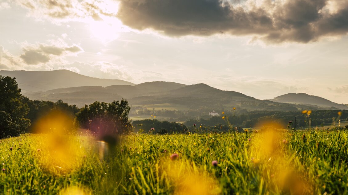Eine malerische Landschaft mit sanften Hügeln und einer blühenden Wiese. Die Sonne taucht die Szene in warmes Licht und schafft eine friedliche Atmosphäre. | © Oststeiermark Tourismus