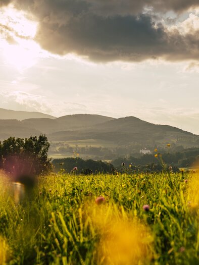 Gemeinde Grafendorf_Oststeiermark | © Oststeiermark Tourismus