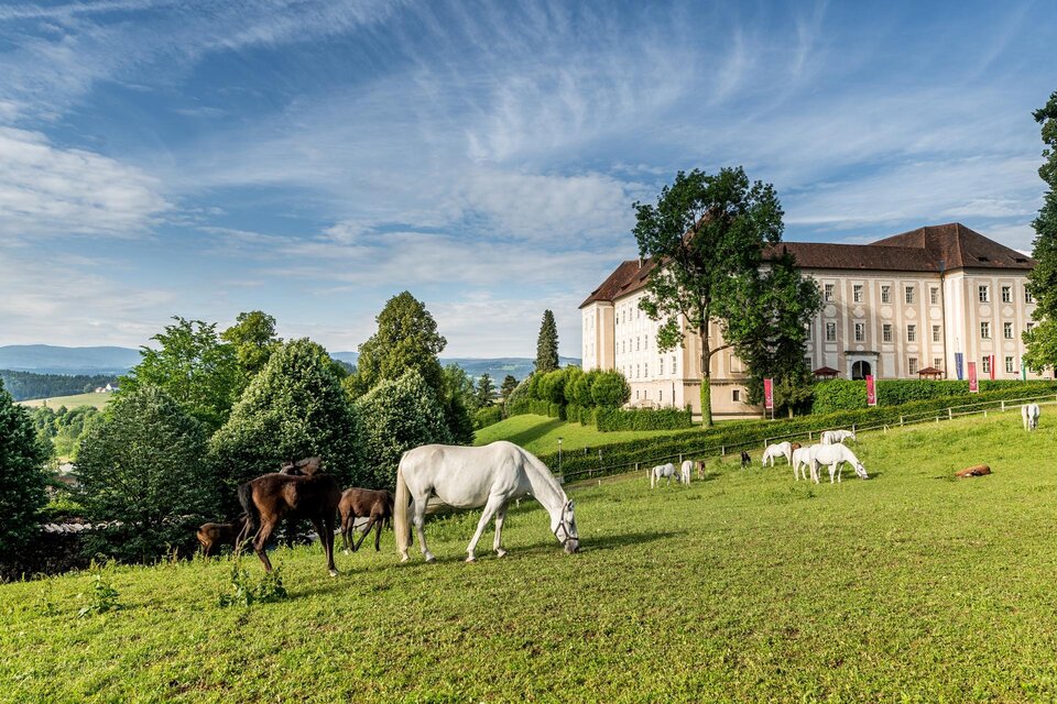 Lipizzanerheimat tourist information office - Impression #1 | © TV Region Graz - Die Abbilderei