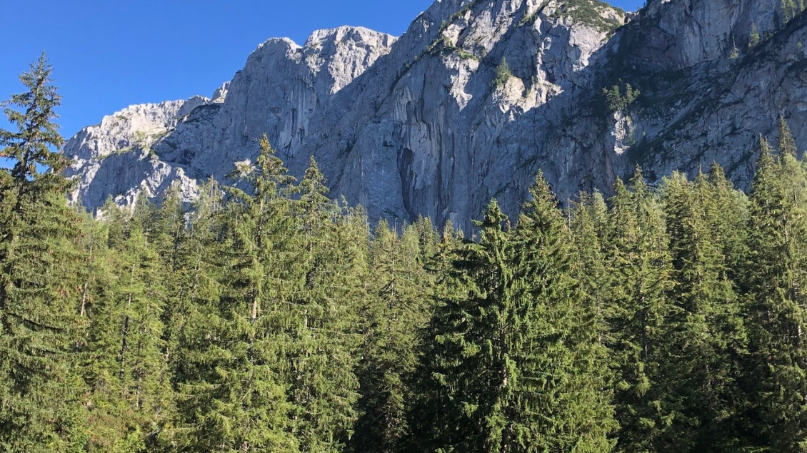 Eine eindrucksvolle Berglandschaft mit steilen Felsen und hohen Tannen auf dem Weg zum Ödernalm Langkar in Bad Mitterndorf. Der blaue Himmel sorgt für eine klare und frische Atmosphäre. | © Sabine Carstensen