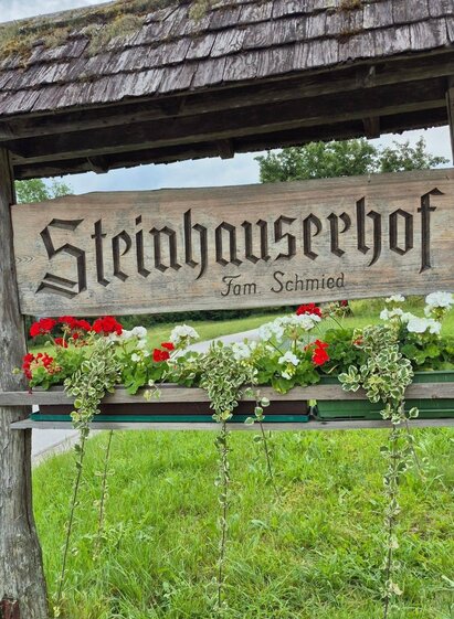 Willkommen am Steinhauserhof I Gesäuse | Lisa Schmied