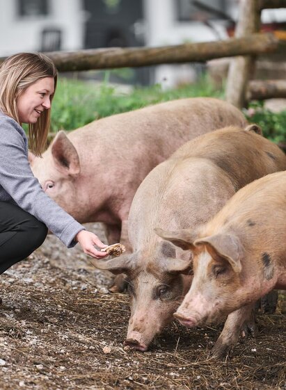 Glückliche Schweine am Steinhauserhof I Gesäuse | © Nationalpark Gesäuse | Stefan Leitner | © Nationalpark Gesäuse