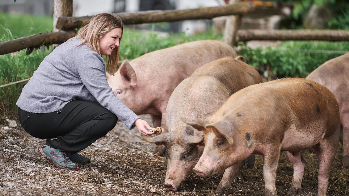 Glückliche Schweine am Steinhauserhof I Gesäuse | © Nationalpark Gesäuse