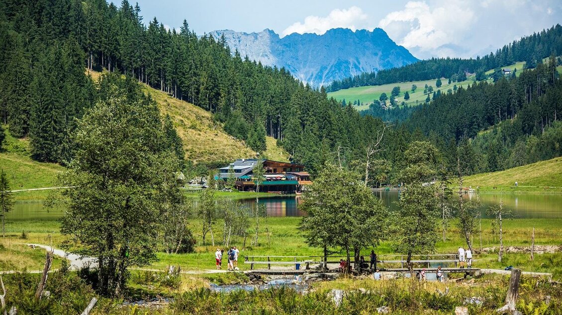 Steirischer Bodensee | © TVB Haus-Aich-Gössenberg@René Eduard Perhab