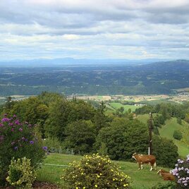 Panoramaschenke Tertinek Aussicht | © Panoramaschenke Tertinek
