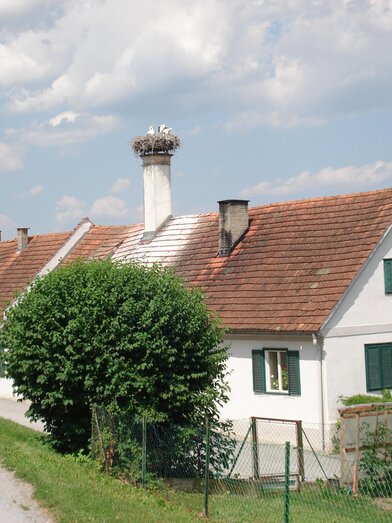 Störche im Nest in Bad Blumau | © Kurkommission Bad Blumau