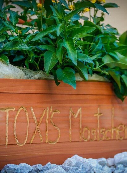 StoxisMostschaenke-Motiv-Murtal-Steiermark-c-Stoxi | Stoxreiter | © Stoxreiter