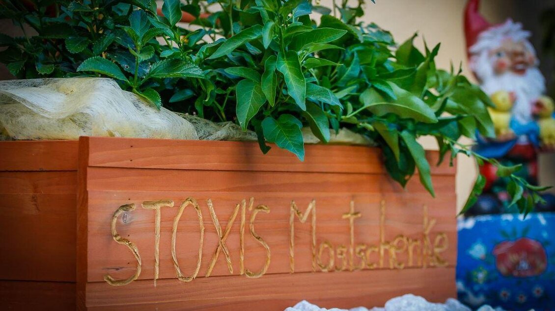 Ein hölzerner Pflanzkasten mit der Aufschrift "STOXY's Kräuterecke" und grünen Pflanzen. Im Hintergrund steht eine Gartenfigur. | © Stoxreiter