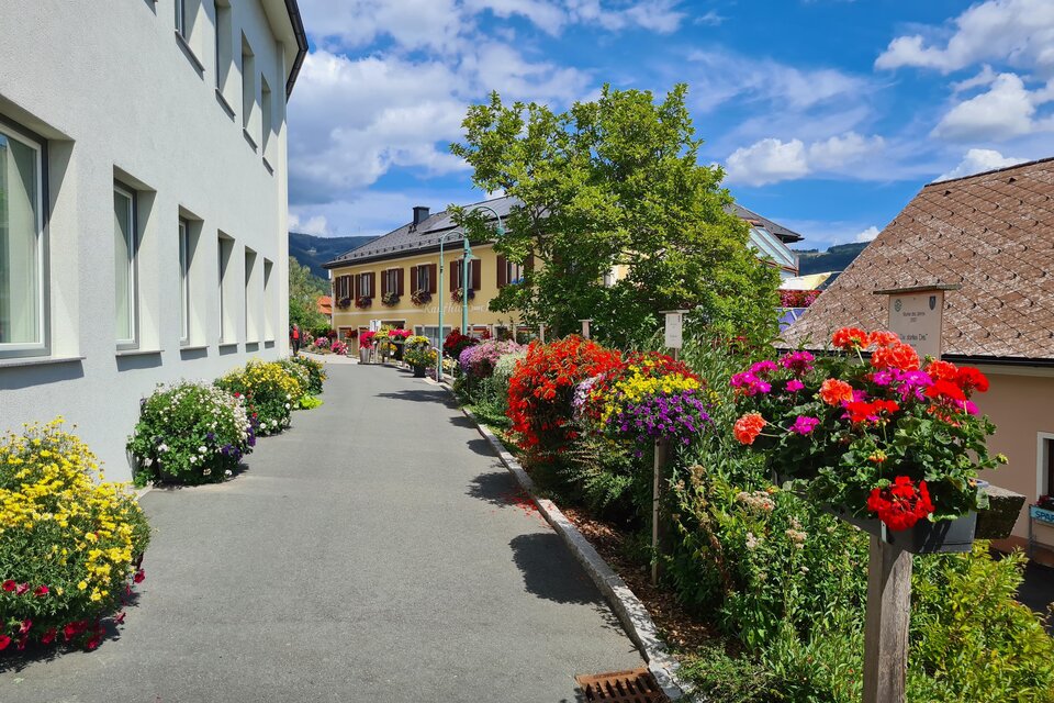 Road "Flower of the year" - Impression #1 | © Tourismusverband Oststeiermark