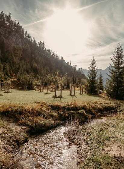 Streuobstwiese im Naturpark Steirische Eisenwurzen |   | © Barbara Nachbagauer